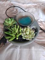 Scentsy lamp, Ophalen of Verzenden, Gebruikt