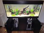 Juwel Rio 180 LED Aquariumset (compleet en goed onderhouden), Dieren en Toebehoren, Ophalen, Zo goed als nieuw, Gevuld zoetwateraquarium