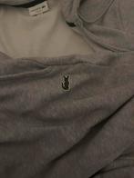 Lacoste Trainingspak Grijs, Maat 48/50 (M), Lacoste, Ophalen of Verzenden, Zo goed als nieuw