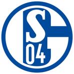 Tickets FC Schalke 04 – 1. FC Nürnberg, Tickets en Kaartjes, Losse kaart, Drie personen of meer, Januari, Buitenland