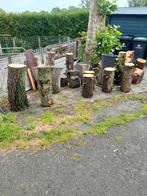 Spijkerblok ,hakblok ,boomstam, Minder dan 3 m³, Ophalen of Verzenden, Overige houtsoorten
