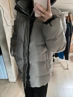 Daily Paper winterjas, Kleding | Dames, Jassen | Winter, Ophalen of Verzenden, Maat 36 (S), Grijs, Daily Paper