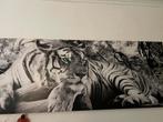 Tijger schilderij groot, Ophalen, Zo goed als nieuw, Schilderij