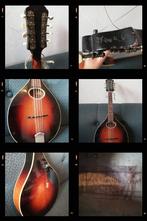 Levin Capri mandoline uit 1958, Ophalen of Verzenden, Gebruikt