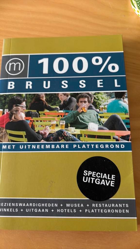 Liesbeth Pieters - 100% Brussel, Boeken, Reisgidsen, Zo goed als nieuw, Reisgids of -boek, Europa, Overige merken, Budget, Ophalen of Verzenden