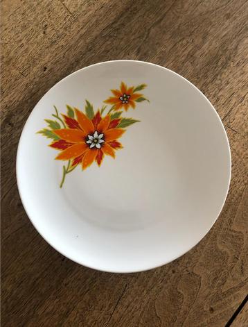 Vintage printed plates (NEW) beschikbaar voor biedingen
