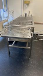 Honden bad/wastafel, Dieren en Toebehoren, Ophalen, Gebruikt