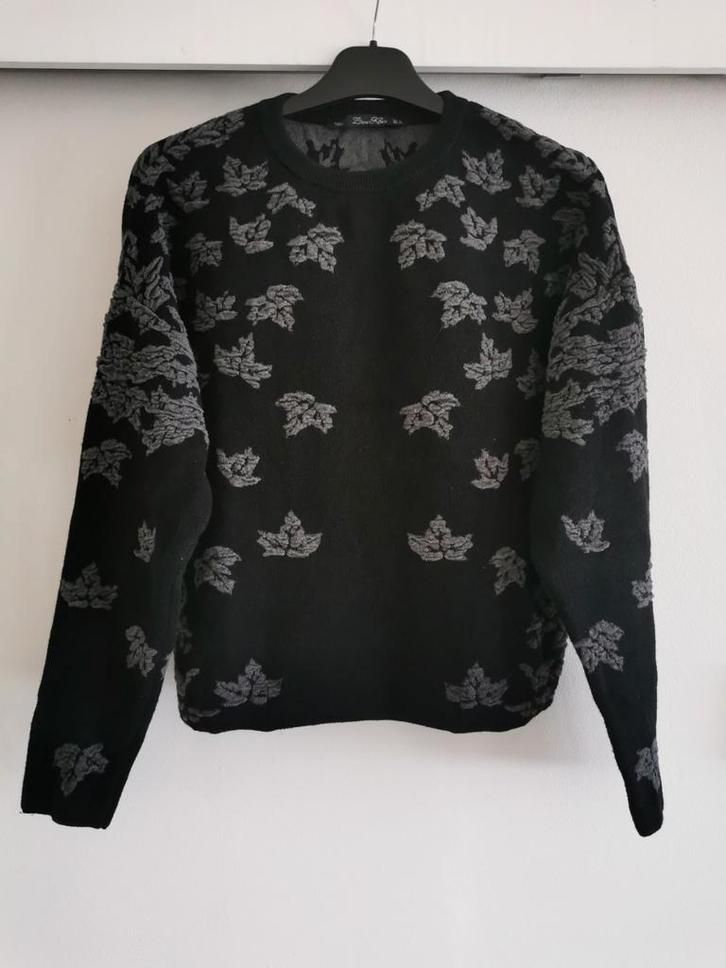 ZARA trui met blaadjes mt. S/M, Kleding | Dames, Truien en Vesten, Zo goed als nieuw, Maat 36 (S), Zwart, Verzenden