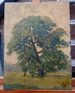 ~1900 Landschap met book, gesigneerd, oliev. op paneel, Antiek en Kunst, Kunst | Schilderijen | Klassiek, Ophalen of Verzenden