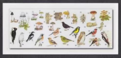 Vogels Paddenstoelen Uil Specht Vink Stinkzwam Elfenbankje., Verzamelen, Ansichtkaarten | Dieren, Ongelopen, 1980 tot heden, Vogel
