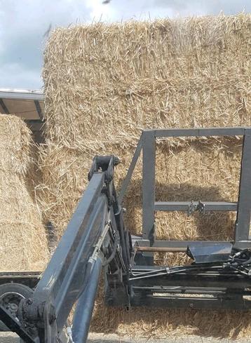 Nieuwe oogst tarwe stro  beschikbaar voor biedingen