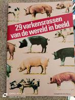 29 varkens rassen van de wereld in beeld., Boeken, Dieren en Huisdieren, Ophalen of Verzenden, Zo goed als nieuw