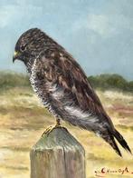 CH van Dijk, buizerd op een paal, Antiek en Kunst, Kunst | Schilderijen | Klassiek, Ophalen of Verzenden