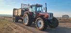 steyr 8130 sk2 Electronic en steyrmatic, Gebruikt, Meer dan 10000, Steyr, 120 tot 160 Pk