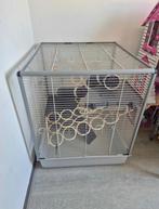 Ferplast fretten/rattenkooi, Dieren en Toebehoren, Knaagdieren en Konijnen | Hokken en Kooien, Ophalen, Kooi, Gebruikt, 60 tot 90 cm