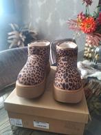 steve madden, Ophalen, Overige kleuren, Overige typen, Steve Madden