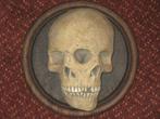 Vergroeide Tweeling Schedel REPLICA unieke Skull op Wandbord, Ophalen of Verzenden, Nieuw, Toneelattributen of Onderdelen