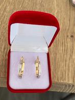 Prachtige 14 karaat(585) gouden dames oorbellen, Ophalen of Verzenden, Nieuw, Goud, Goud