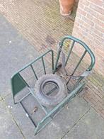 Schapen bekapstoel, Geslacht onbekend, Schaap, 6 jaar of ouder