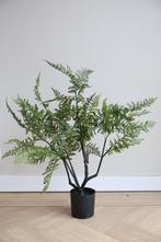 Kunstplant Varen 50cm Easyplants, Huis en Inrichting, Woonaccessoires | Kunstplanten en Kunstbloemen, Nieuw, Ophalen