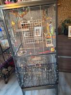 Kooi met toebehoren 155/60, Ophalen, Zo goed als nieuw, Metaal, Vogelkooi