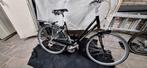 Koga Miyata Prominence D53cm, Fietsen en Brommers, Fietsen | Dames | Damesfietsen, Versnellingen, Ophalen, Overige merken, 53 tot 56 cm