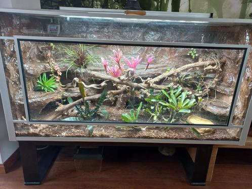 Groot terarium met 3d wand, Dieren en Toebehoren, Reptielen en Amfibieën | Toebehoren, Zo goed als nieuw, Ophalen