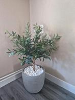 Kunst Olijfboom in Pot, Ophalen, Nieuw, Binnen