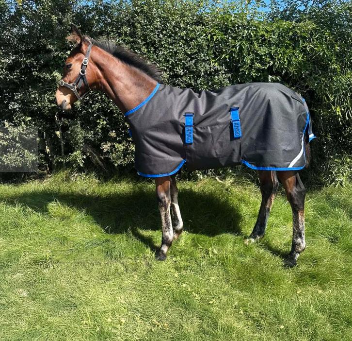 AMIGO RIPSTOP 900D Veulen outdoordeken 200gr., Dieren en Toebehoren, Paarden en Pony's | Dekens en Dekjes, Zo goed als nieuw, Ophalen of Verzenden