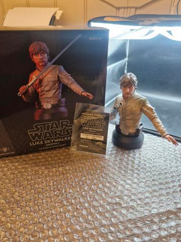 Luke skywalker star wars limited edition 370/3000 beschikbaar voor biedingen