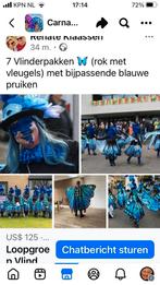 Mooie vlinderpakken, Kleding | Dames, Ophalen of Verzenden, Zo goed als nieuw, Maat 42/44 (L), Carnaval