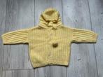 Gebreid baby trui, Ophalen of Verzenden, Zo goed als nieuw, Jongetje of Meisje, Truitje of Vestje