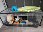 Complete knaagdierenkooi, Dieren en Toebehoren, Minder dan 60 cm, Kooi, Gebruikt, Hamster