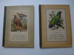 Plaatjesalbums Bonte Vogels uit de hele wereld I + II. , Boeken, Prentenboeken en Plaatjesalbums, Ophalen of Verzenden, Gelezen