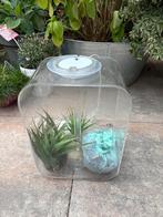 Biorb Life 15 Liter, Dieren en Toebehoren, Vissen | Aquaria en Toebehoren, Ophalen, Leeg aquarium