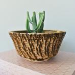 vintage Mid Century CACTUSBAKJE bloempot brutalist retro MCM, Tuin en Terras, Bloempotten, Gebruikt, Rond, Binnen, Ophalen of Verzenden
