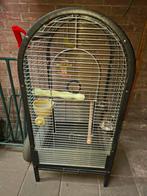 Knappe gebruikte papagaaien kooi, Ophalen of Verzenden, Gebruikt, Metaal, Vogelkooi