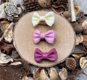 Haarspeldjes alligator clip | set van 3 beschikbaar voor biedingen