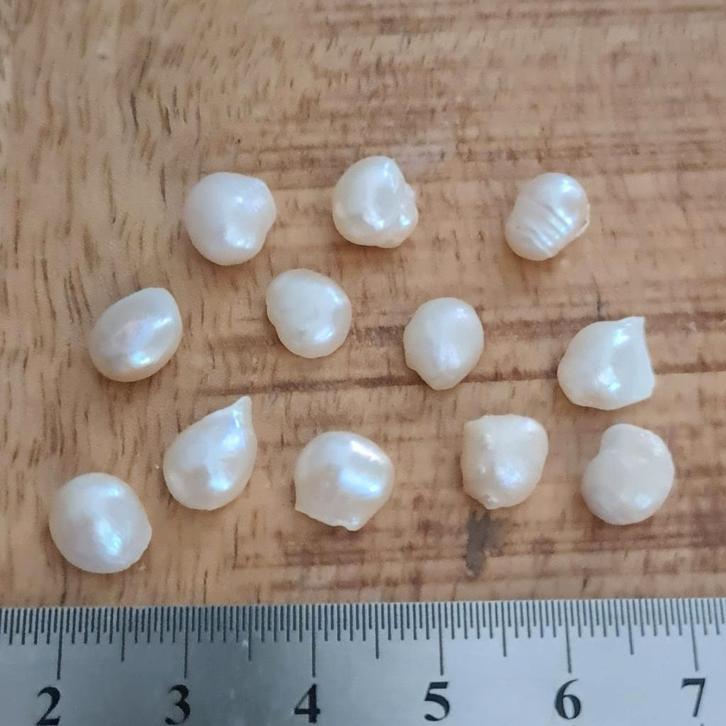 Zuidzee parels - Unieke vorm, Zuid-Australië per stuk, Sieraden, Tassen en Uiterlijk, Edelstenen, Nieuw, Ophalen of Verzenden