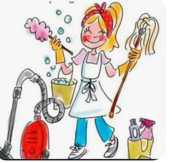 Schoonmaakhulp aangeboden in Stadshagen en omgeving, Vacatures, Vacatures | Schoonmaak en Facilitaire diensten, MBO, Vanaf 5 jaar