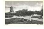 NUNSPEET - molen De Hoop (De Duif), Verzamelen, Ansichtkaarten | Nederland, Verzenden, Gelderland