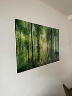 Schilderij van glas, Huis en Inrichting, Woonaccessoires | Schilderijen, Tekeningen en Foto's, Ophalen, 50 tot 75 cm, Zo goed als nieuw