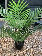 Kunstplant Palm - Realistisch & Onderhoudsvrij, Ophalen of Verzenden, Nieuw, Binnen