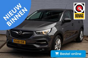 Opel Grandland X 1.2 Turbo Business Executive beschikbaar voor biedingen