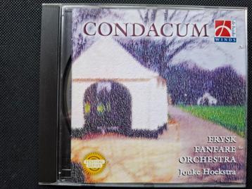 FRYSK FANFARE ORCHESTRA - JOUKE HOEKSTRA - CONDACUM beschikbaar voor biedingen