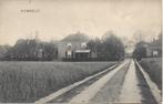 Hummelo (Gld.) Dorpsgezicht, gelopen 1913, Ophalen of Verzenden, Voor 1920, Gelopen, Gelderland