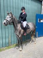 PresTeq wedstrijd jasje, Dieren en Toebehoren, Ophalen of Verzenden