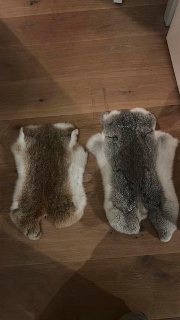 Twee konijnenvachten beschikbaar voor biedingen
