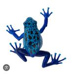Beeldje Dendrobates Azureus (blue poisen-dart frog), Verzenden
