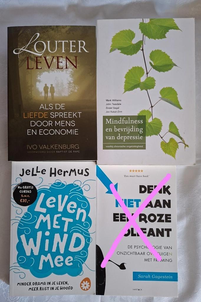 depressie overtuigen trauma Liefde bevrijding, Boeken, Psychologie, Zo goed als nieuw, Cognitieve psychologie, Ophalen of Verzenden